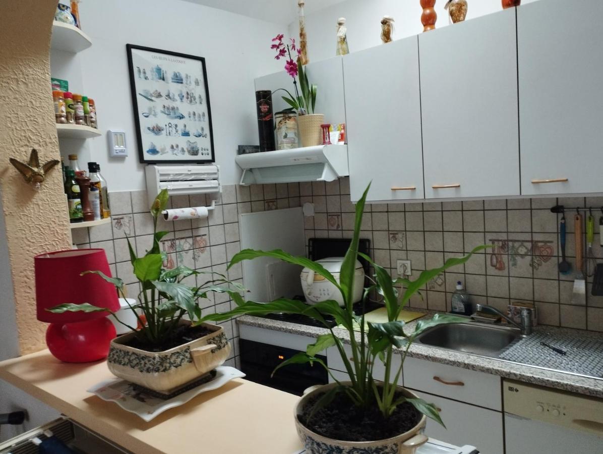 Chambre D'Hote Dans Maison Individuelle Saint-Malo Zewnętrze zdjęcie